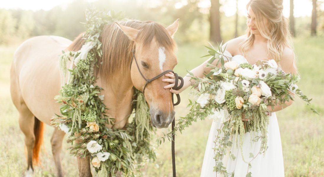 Equestrian Bridal Portraits