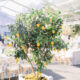This Couple Brought Dallas Style to a San Antonio Venue Close to Their Hearts