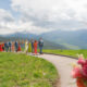 See This Stunningly Colorful Wedding for a Colorado Couple With Texas Ties